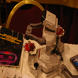 Rob the Robot